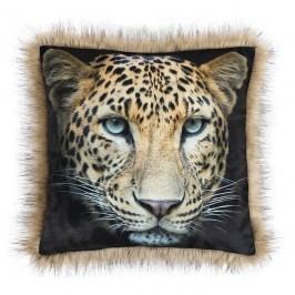 SAFARI Leopárd kispárna, 45 x 45 cm
