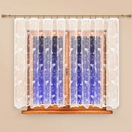 4Home Anita függöny, 300 x 250 cm, 300 x 250 cm